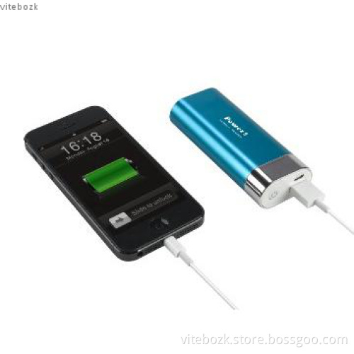 Hot Sale Gift USB Mobile Power Charger For iPhone 5S 5C iPad mini